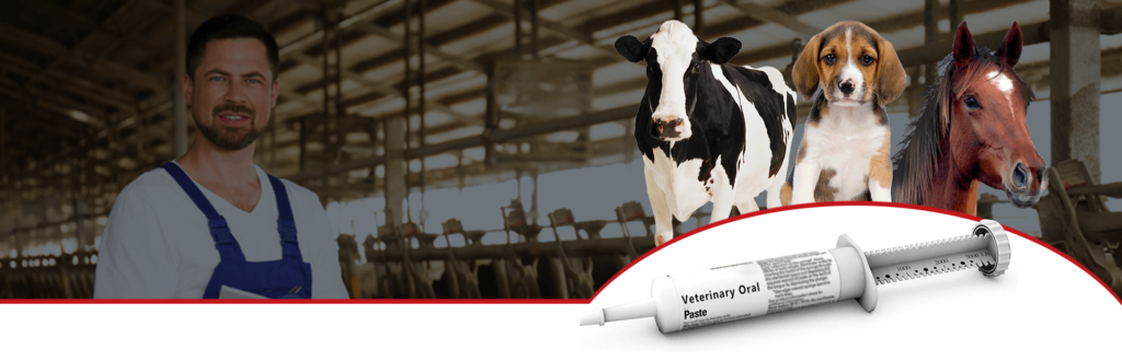 blog veterinary oral paste syringes